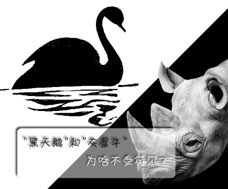 "黑天鵝"和"灰犀牛"為啥不受待見(jiàn)？