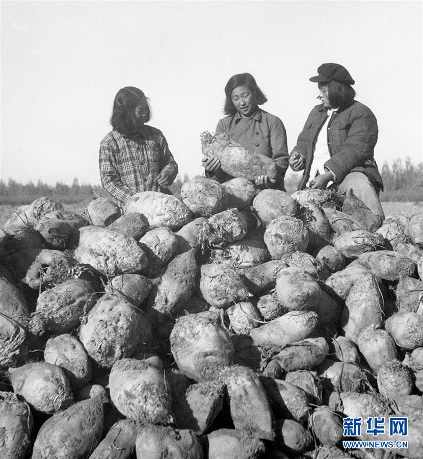（圖文互動）（2）為了“中國號”巨輪揚帆遠航——中國共產(chǎn)黨領(lǐng)導下的人民軍隊忠于祖國、服務(wù)人民啟示錄
