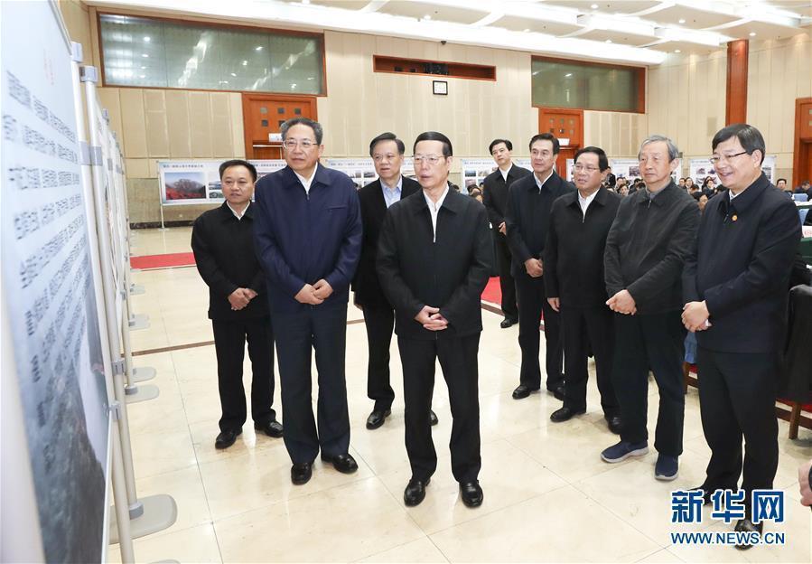 1月9日至10日，國務(wù)院副總理張高麗在安徽調(diào)研推動長江經(jīng)濟(jì)帶發(fā)展工作。這是1月10日，張高麗主持召開推動長江經(jīng)濟(jì)帶發(fā)展工作會議前聽取介紹。新華社記者 龐興雷 攝