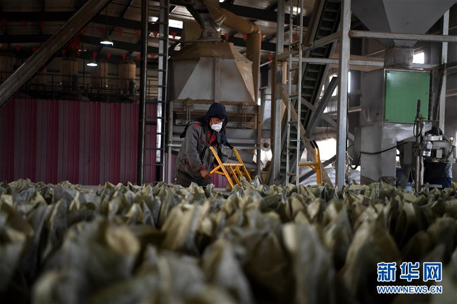 （在習(xí)近平新時代中國特色社會主義思想指引下——新時代新氣象新作為·鄉(xiāng)村振興戰(zhàn)略·圖文互動）（1）“與其放火，不如打包”——山西渾源秸稈綜合再利用見聞