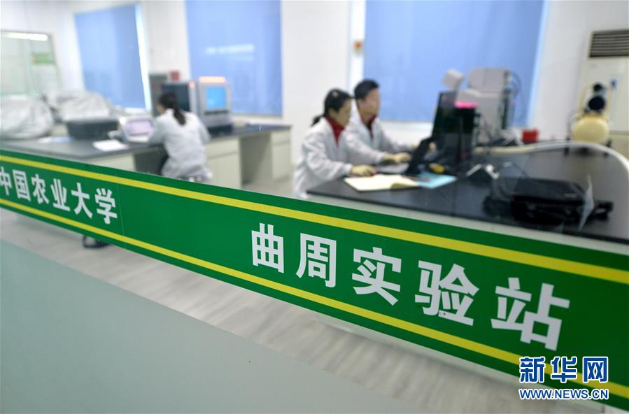 （愛國情 奮斗者·圖文互動(dòng)）（3） “解民生之多艱，育天下之英才”——中國農(nóng)大師生扎根田野書寫奉獻(xiàn)之歌