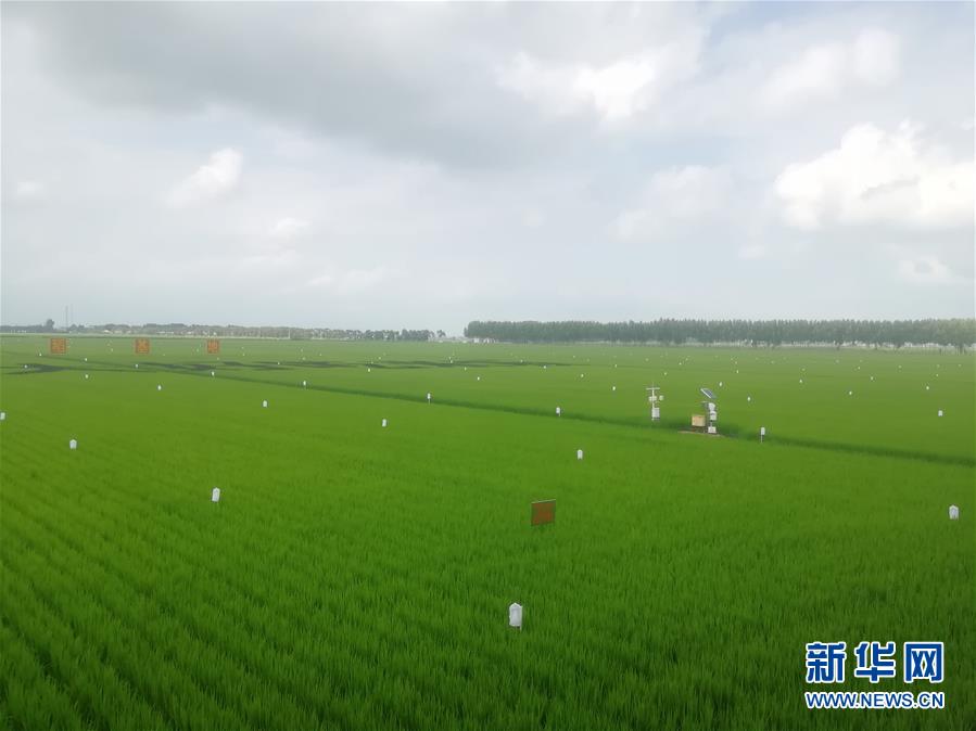 （在習(xí)近平新時(shí)代中國特色社會(huì)主義思想指引下——新時(shí)代新作為新篇章·圖文互動(dòng)）（2）從“靠天吃飯”到“看天管理”——黑龍江創(chuàng)新氣象為農(nóng)服務(wù)體系觀察