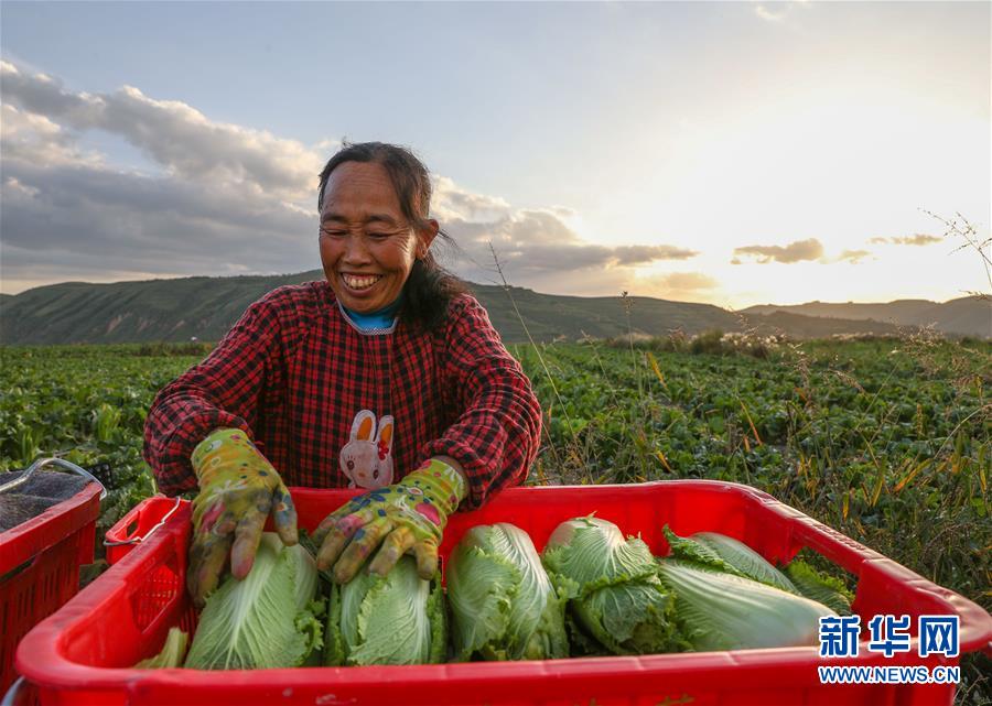 （新華全媒頭條·決戰(zhàn)決勝脫貧攻堅·督戰(zhàn)未摘帽貧困縣·圖文互動）（1）不獲全勝，決不收兵——全國52個掛牌督戰(zhàn)貧困縣脫貧攻堅紀(jì)實