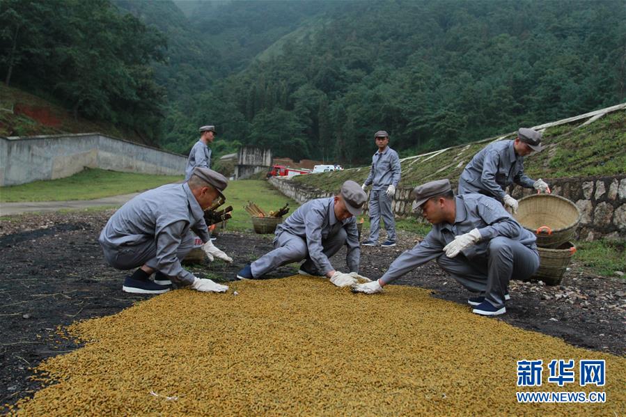 （在習(xí)近平強(qiáng)軍思想指引下·我們?cè)趹?zhàn)位報(bào)告·圖文互動(dòng)）（3）牢記統(tǒng)帥囑托  做刀尖上的舞者——記聯(lián)勤保障部隊(duì)某報(bào)廢武器彈藥銷毀站參謀長陳雪禮