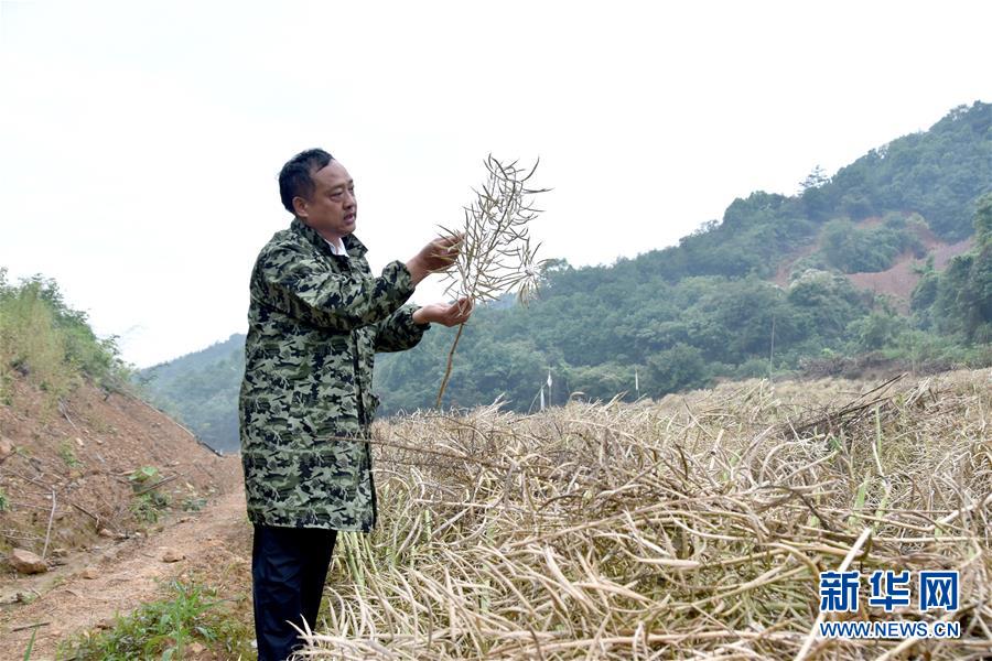 （代表委員履職·圖文互動）（1）“我是農民代表，始終關注農村”——全國人大代表沈昌健的履職故事