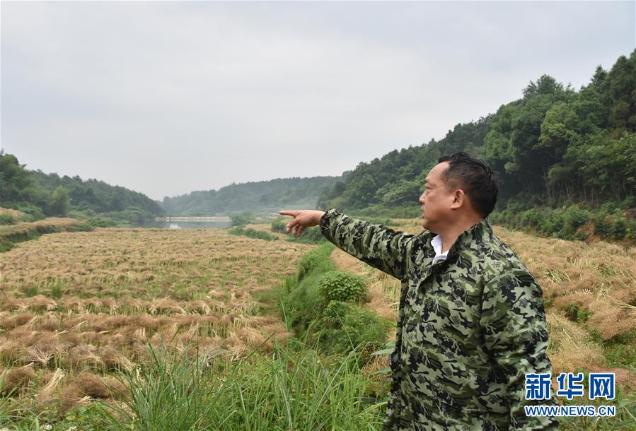 （代表委員履職·圖文互動）（2）“我是農民代表，始終關注農村”——全國人大代表沈昌健的履職故事