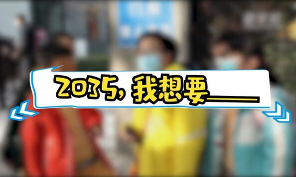 2035，我想要____