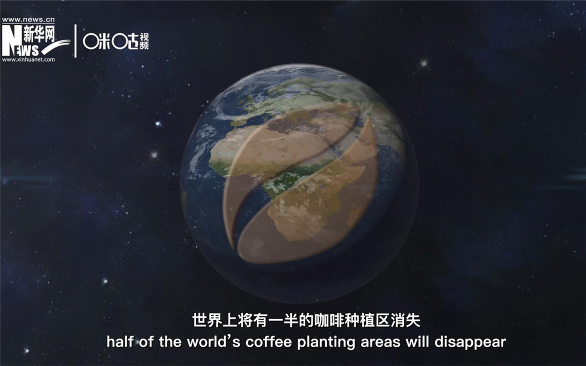 科學(xué)家預(yù)測到三十年后，世界上將有一半的咖啡種植區(qū)消失