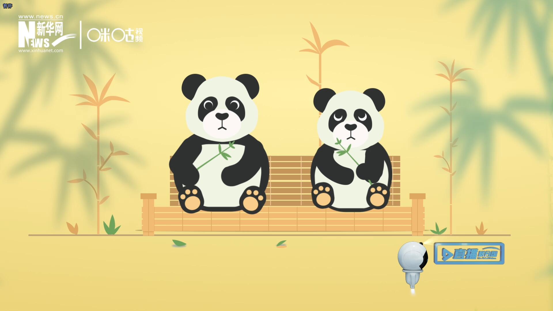 “哥哥你看，又有人來看我們了。”“有什么奇怪的，我們可是聯(lián)合國‘最萌’的大使??！”。