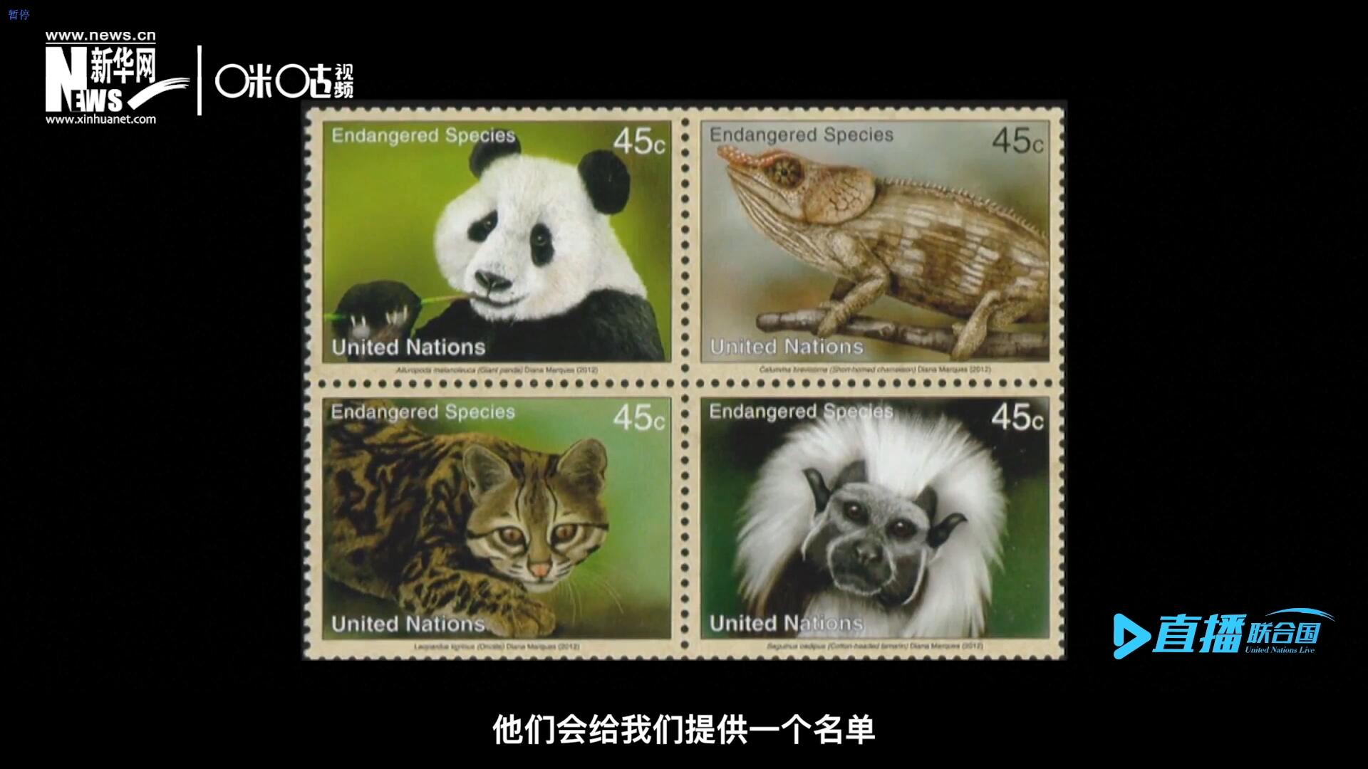 CITES（瀕危野生動(dòng)植物種國(guó)際貿(mào)易公約）會(huì)給聯(lián)合國(guó)郵政設(shè)計(jì)師提供一個(gè)名單，雙方共同合作在附錄中找到名單中應(yīng)該受到關(guān)注的動(dòng)物。