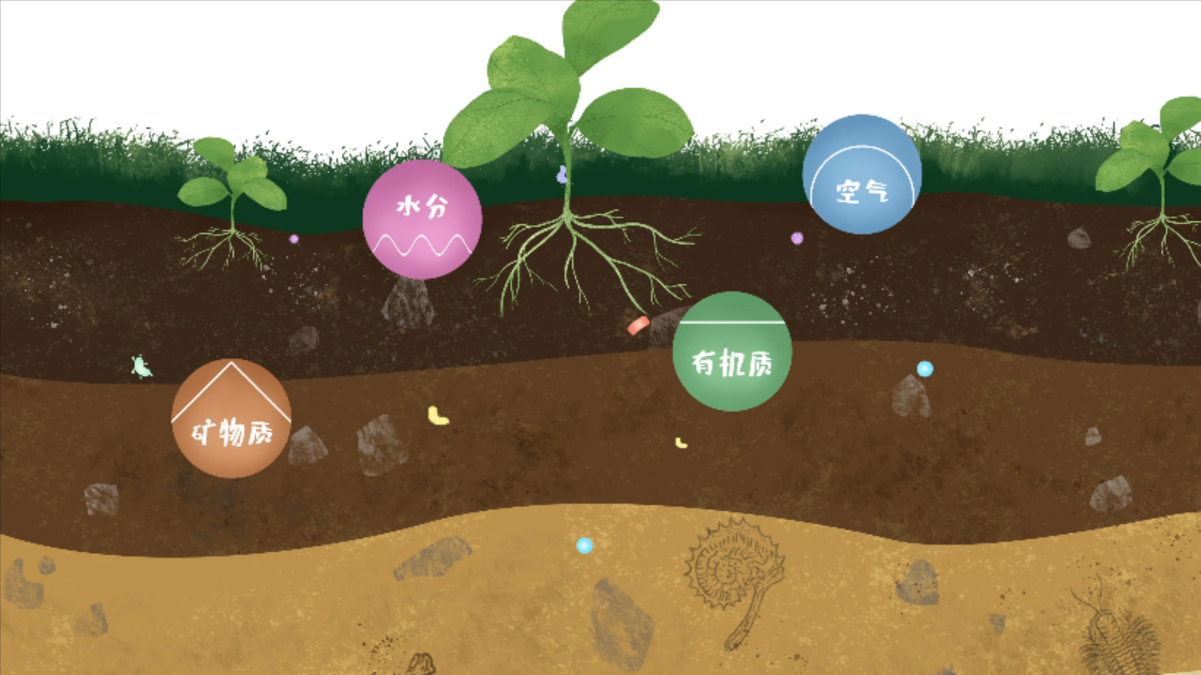土壤由礦物質(zhì)、有機(jī)質(zhì)、水分、空氣及包括微生物在內(nèi)的生物體等組成
