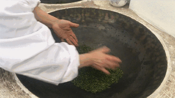 申遺，把雨花茶手藝傳承下去