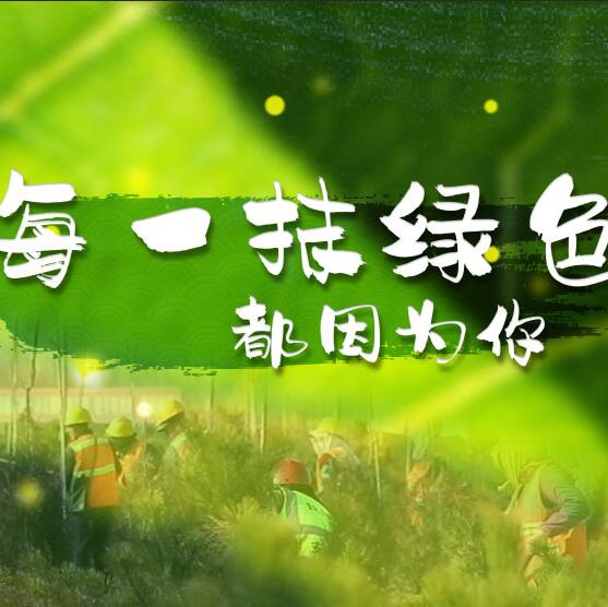 千年秀林，每一抹綠色都因?yàn)槟? /></a>       
<div   id=