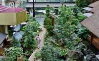 震撼！日本最豪華的廁所（組圖）