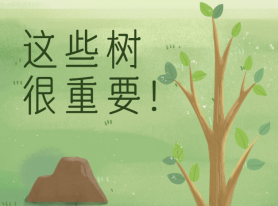 這些樹很重要！