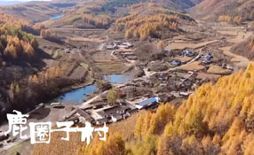 探秘關(guān)東人家，畫一個童話里的秋天
