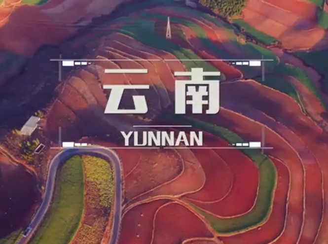 面向全球，直播“一帶一路”！——古道新生云之南