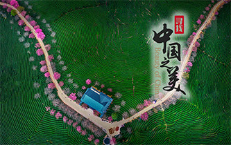 江山如畫，想把春的故事講給你聽