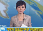 馬軍方稱(chēng)雷達(dá)顯示失聯(lián)飛機(jī)或曾折返